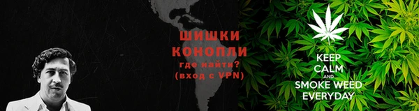 прущие грибы Армянск