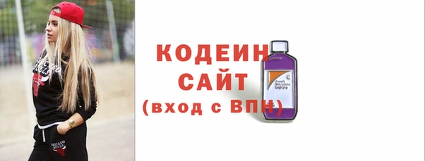 СК Алексин
